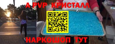 крисы Нальчик