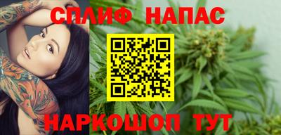 крисы Нальчик