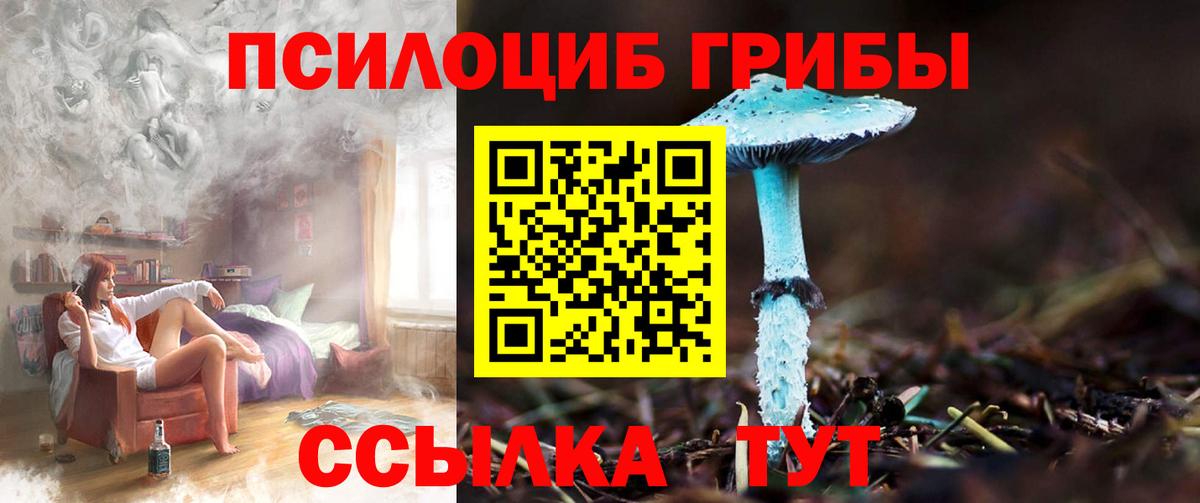 Галлюциногенные грибы Cubensis  Вход с VPN  Улан-Удэ 
